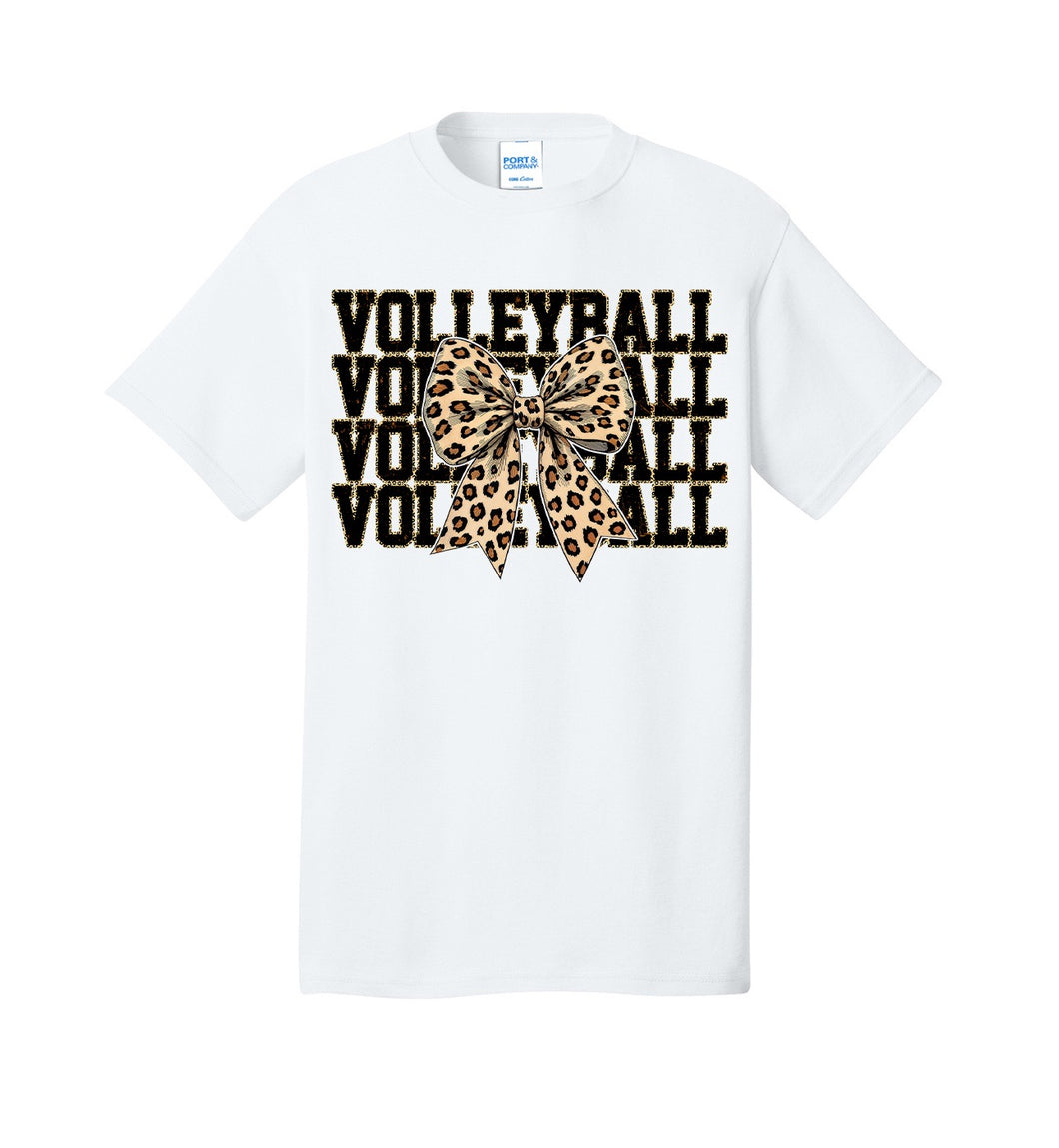ZHS Volleyball t-shirt